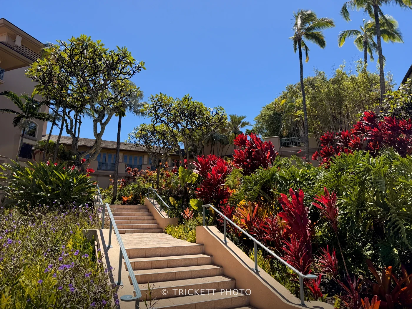 Maui - 214