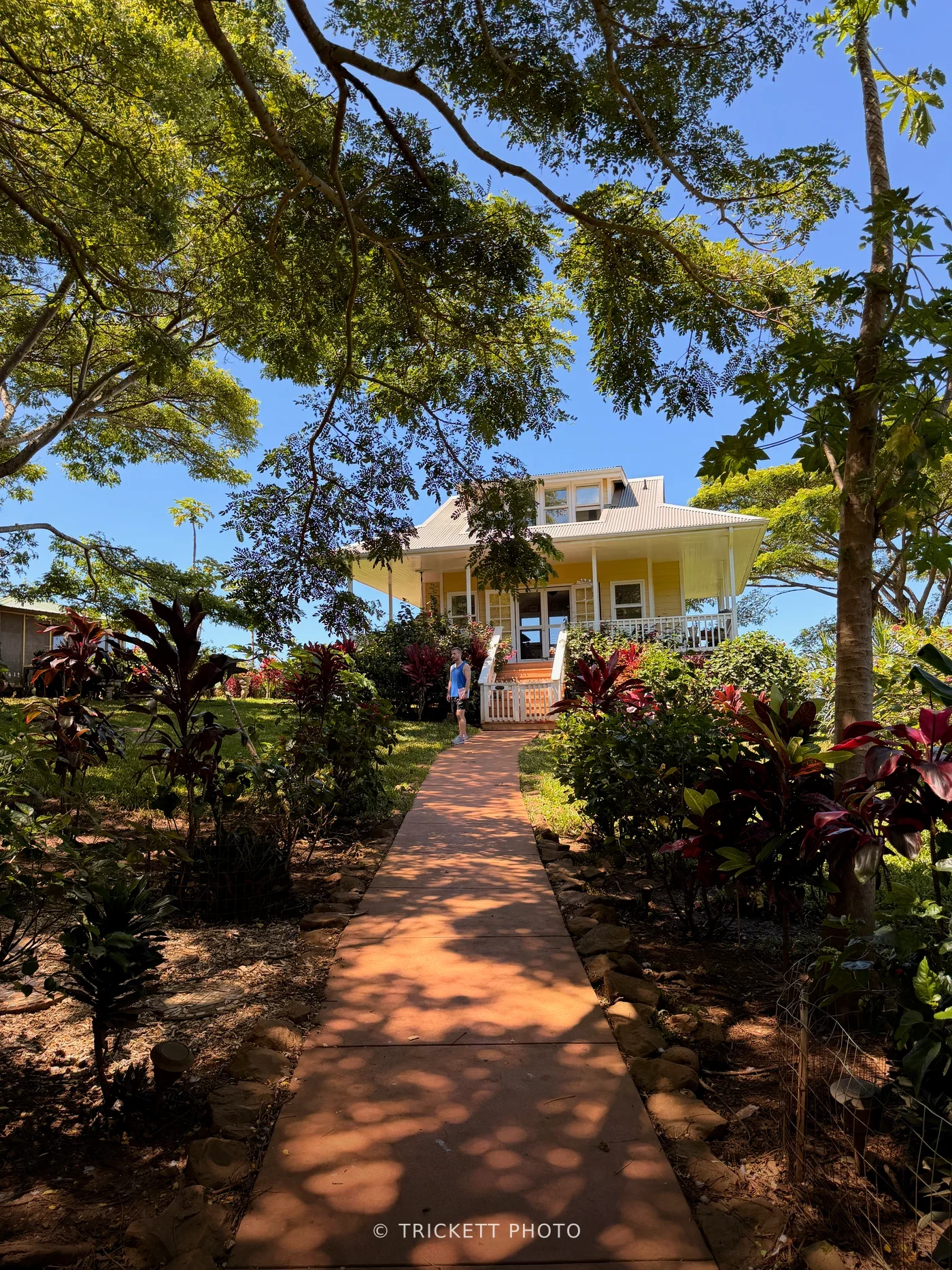 Maui - 122