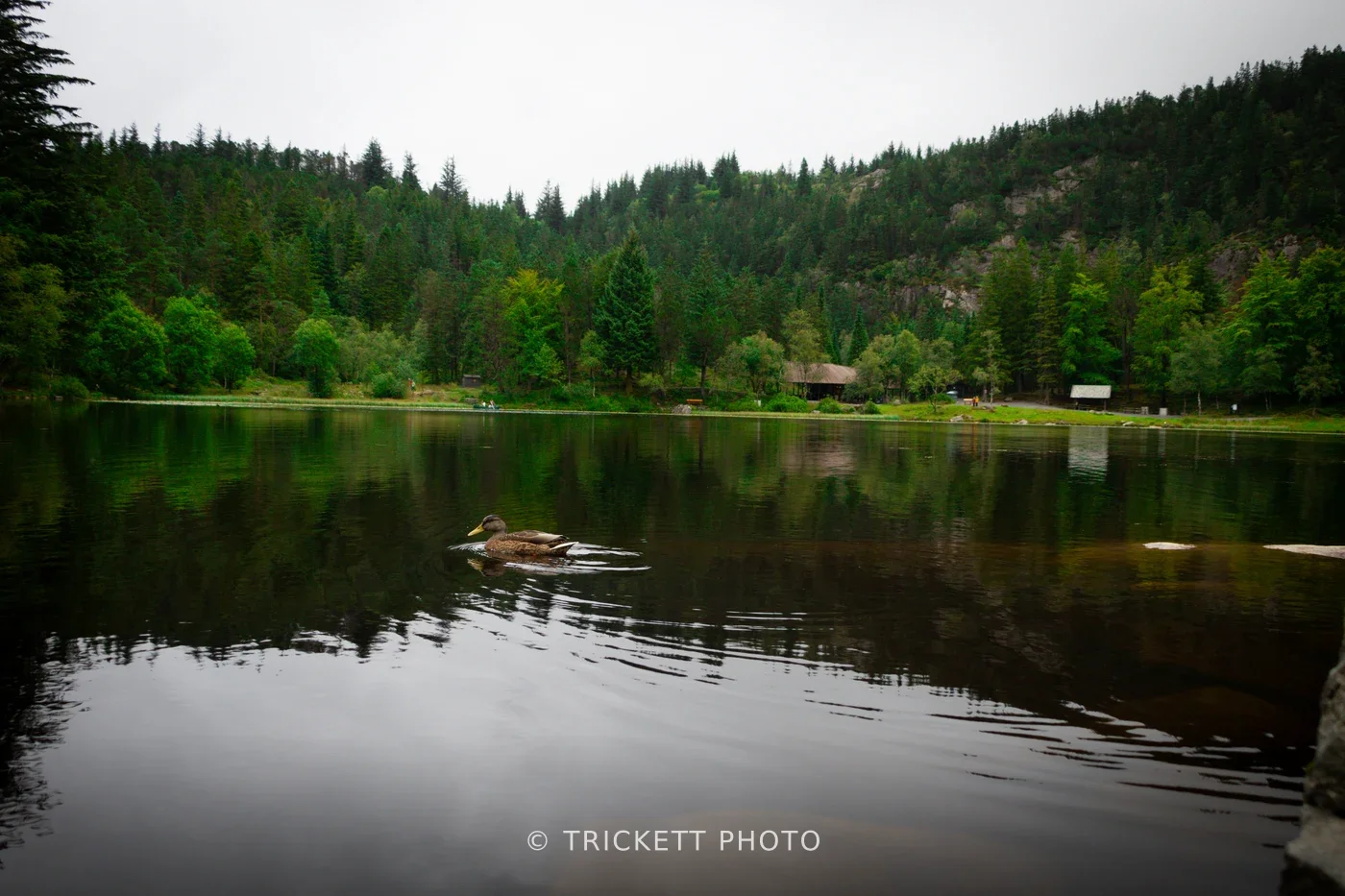 Norway-Bergen-D2-18