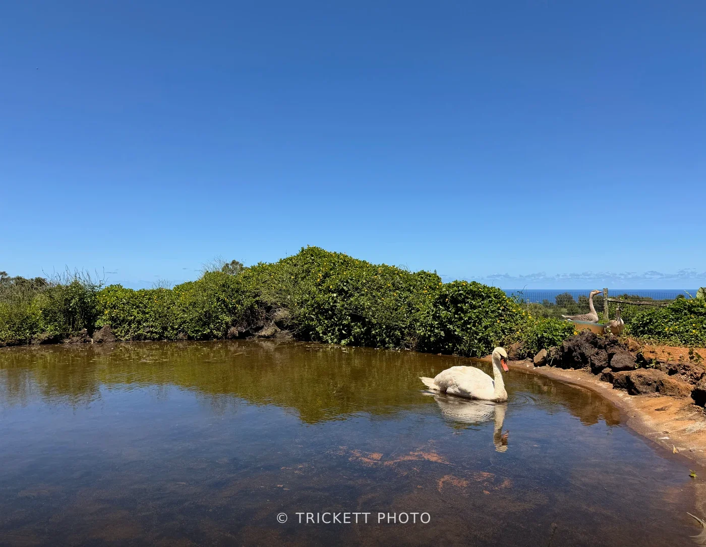 Maui - 83