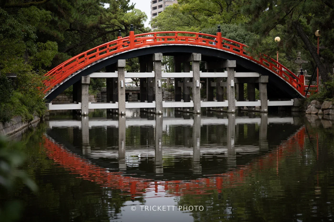 Sumiyoshi Taisha & Namba Yasaka Shrines