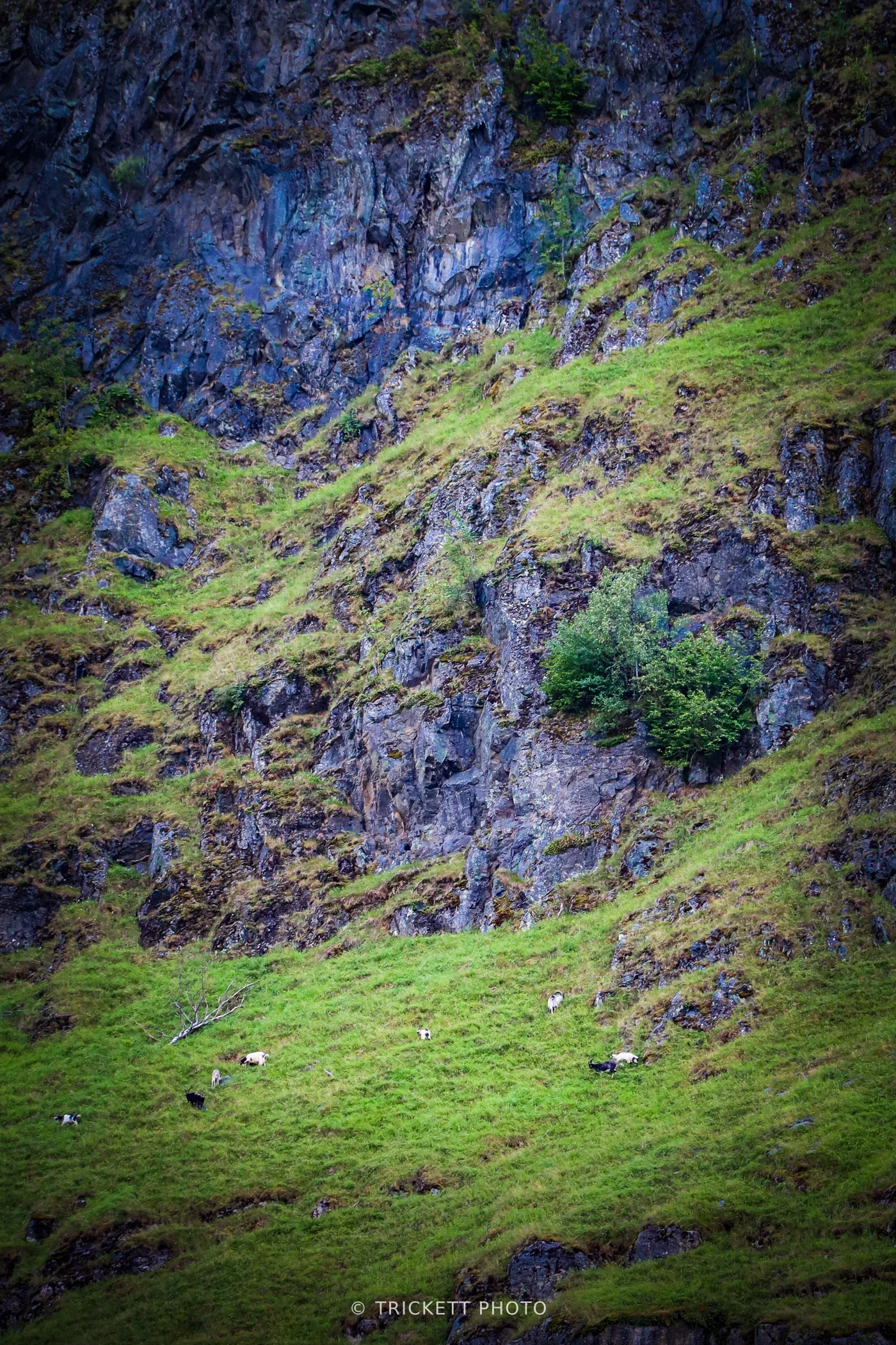 Norway-Bergen-D3-35