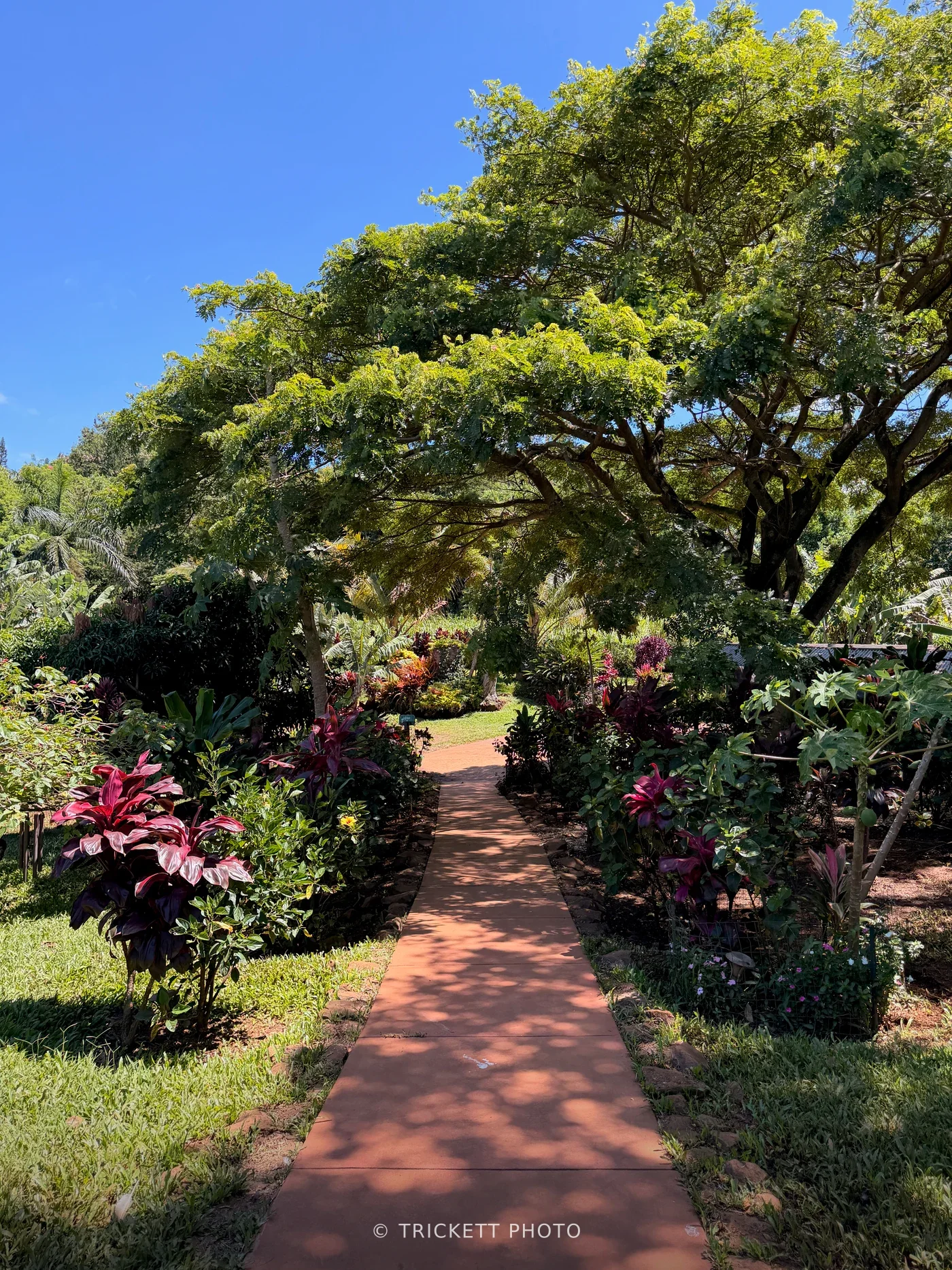 Maui - 120