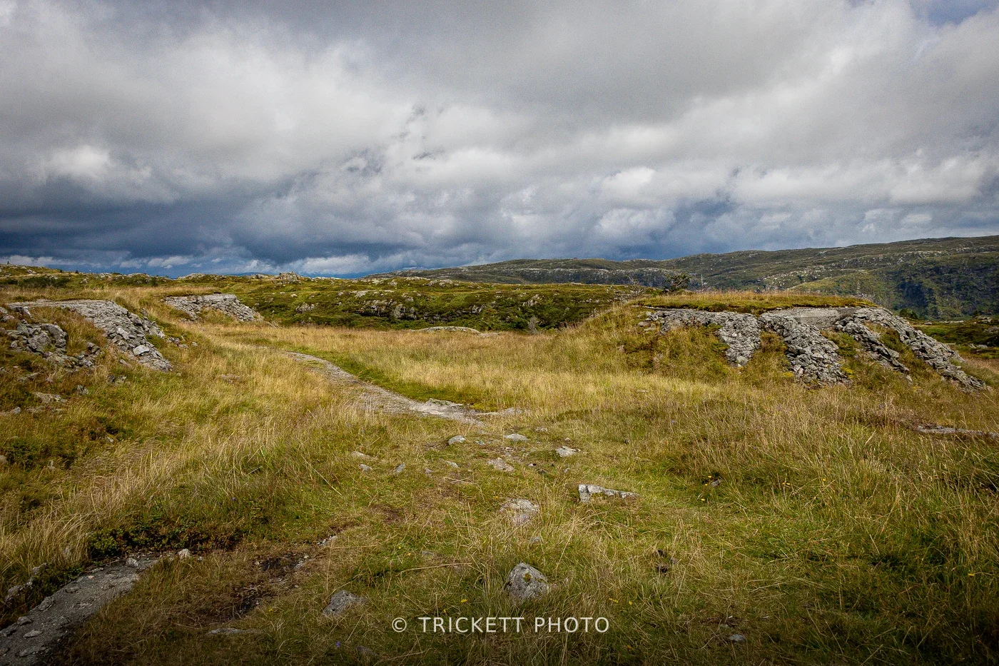 Norway-Bergen-D2-61