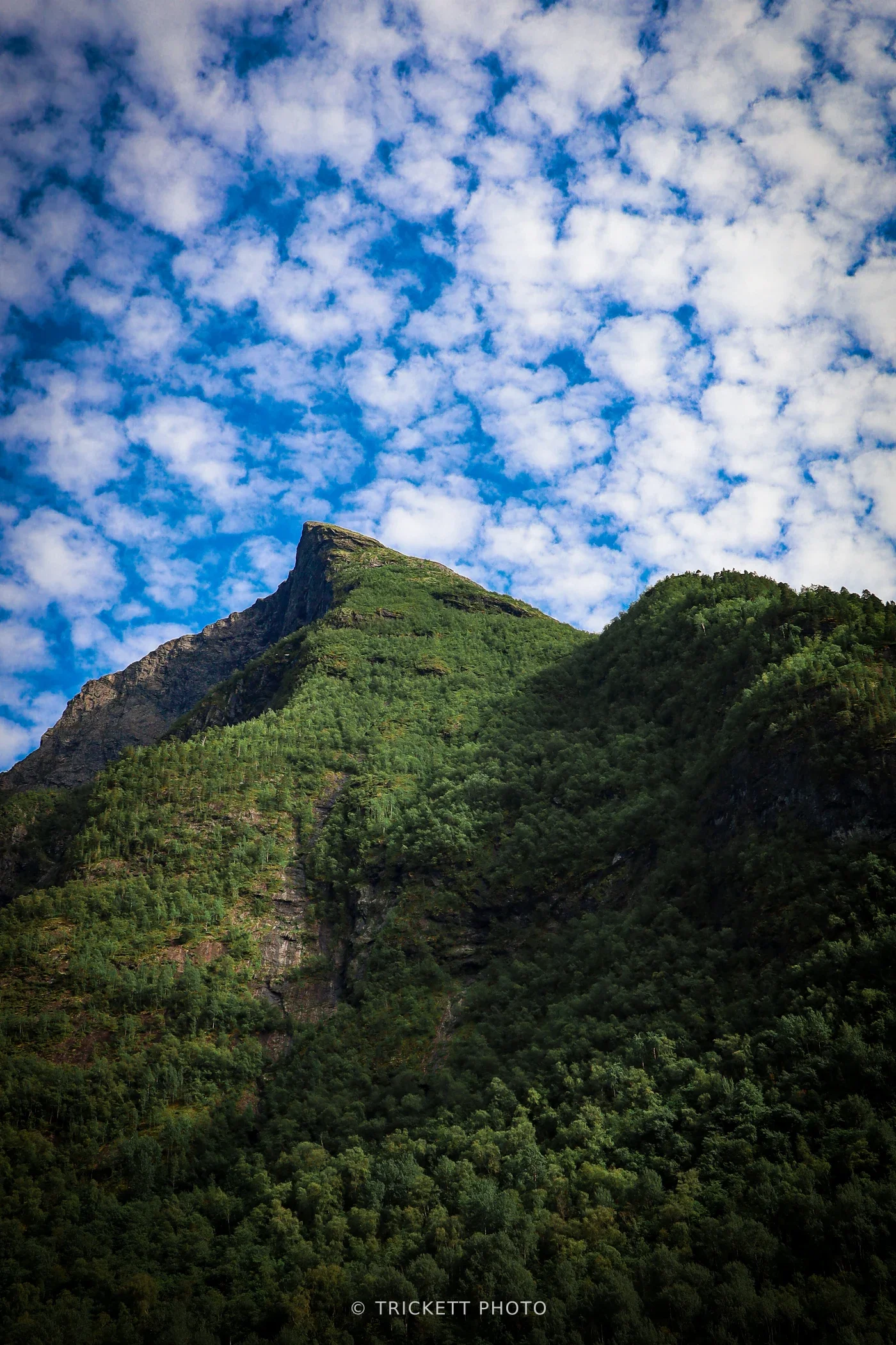 Norway-Bergen-D3-48