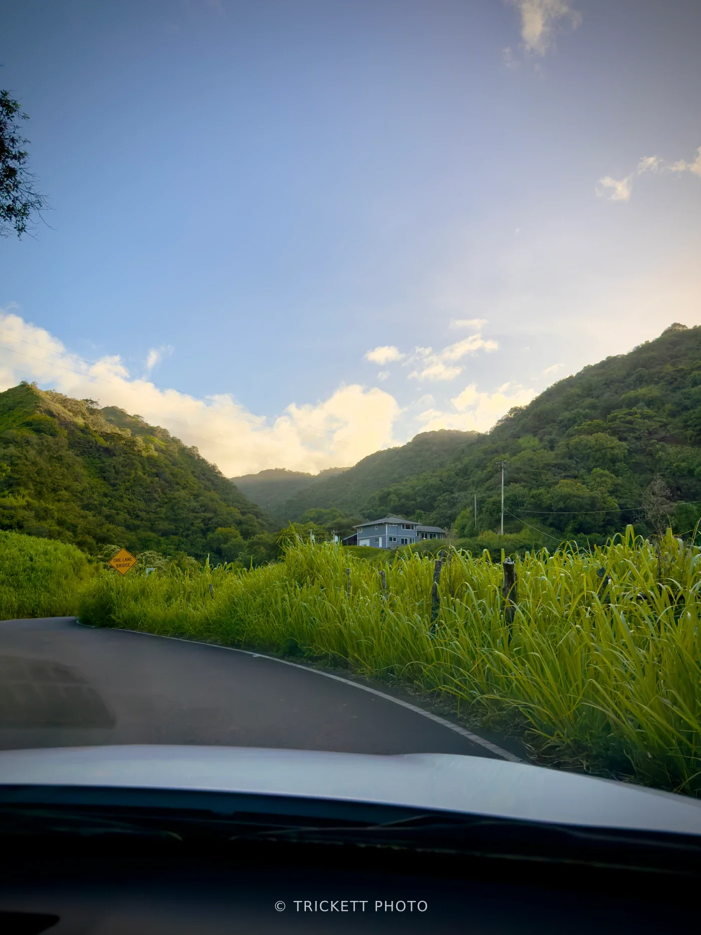 IMG_7666