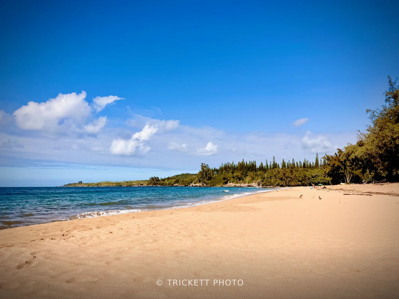 Maui-D3 - 31