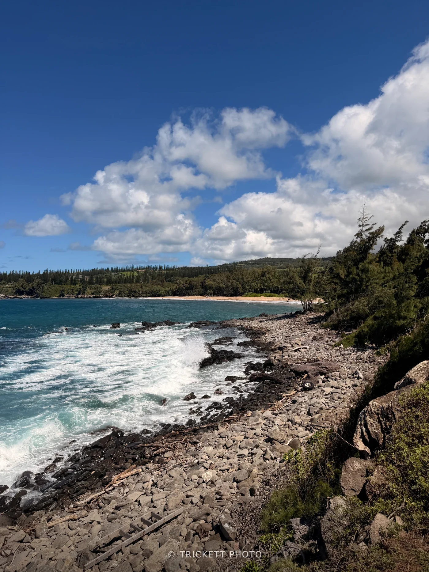 Maui - 12