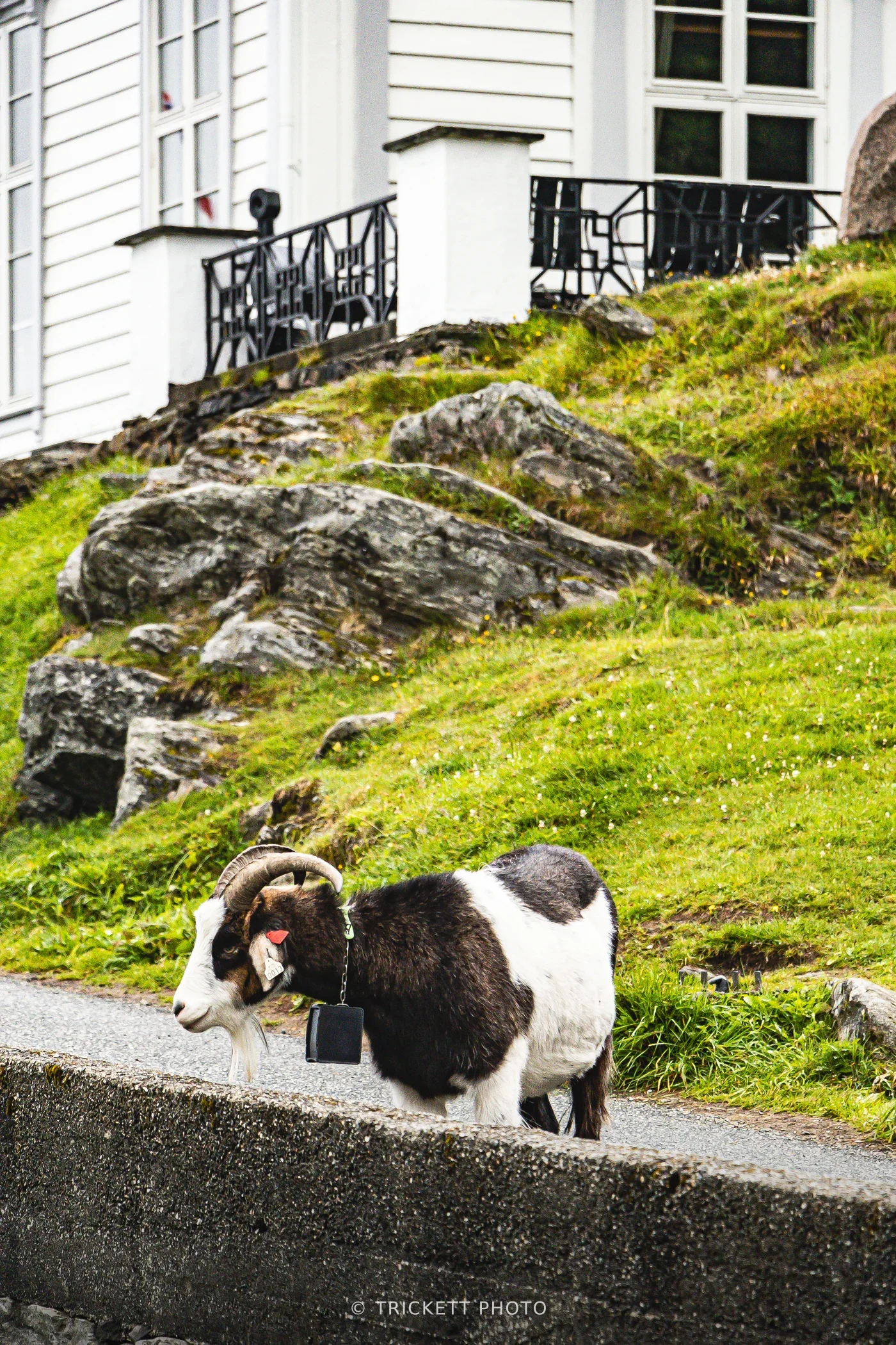 Norway-Bergen-D2-12