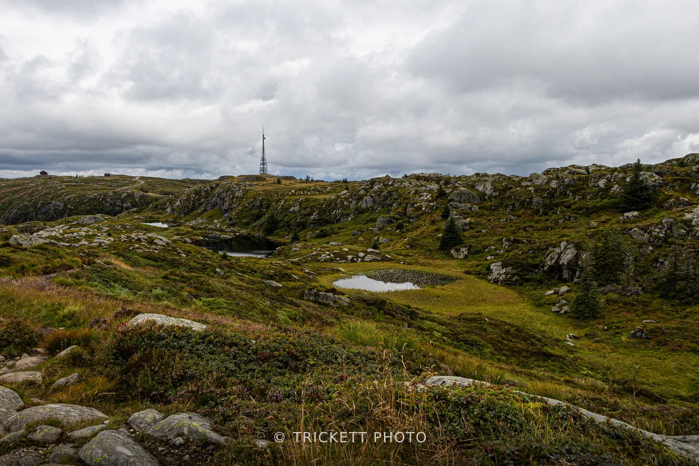 Norway-Bergen-D2-65