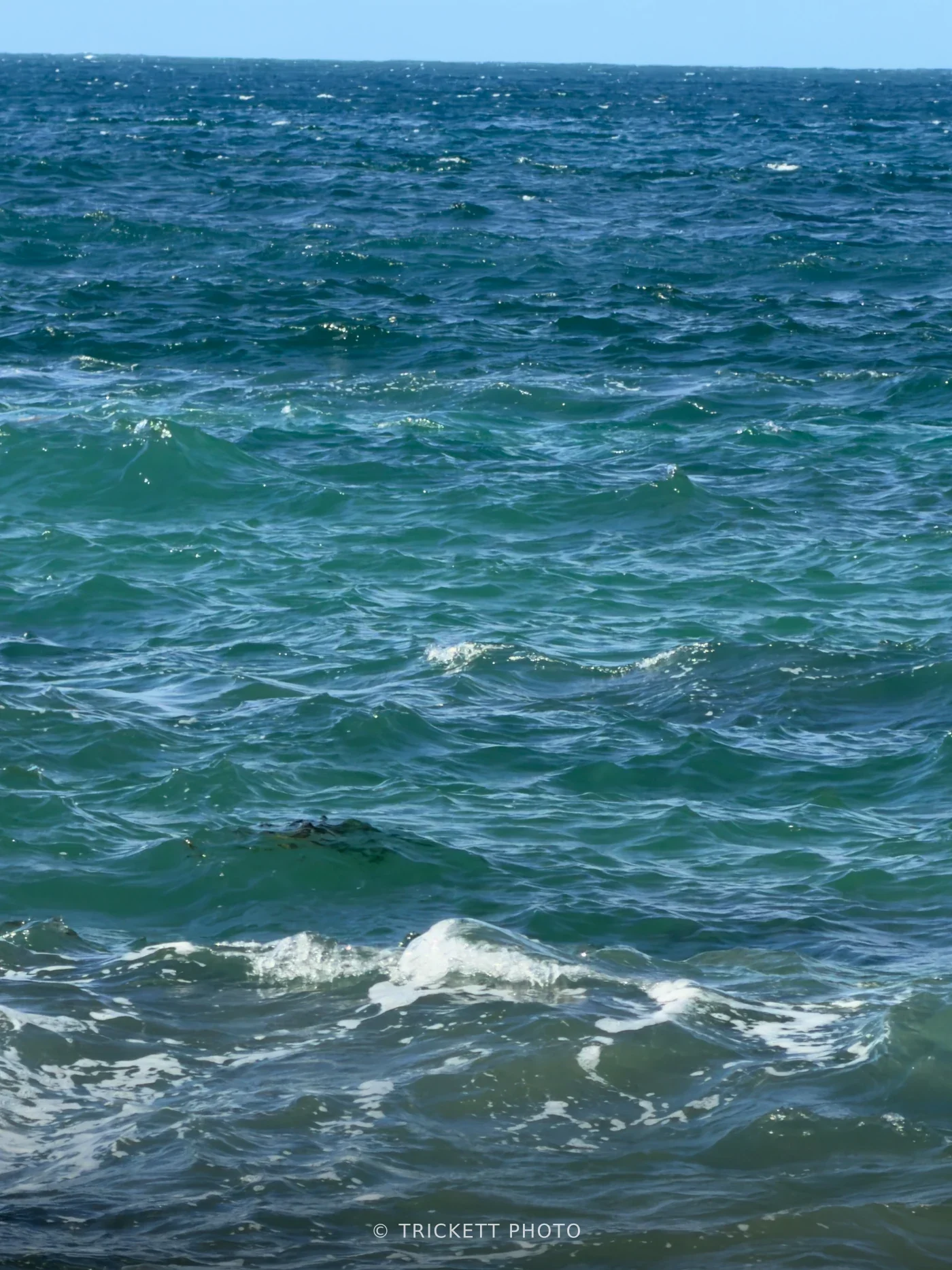 Maui-DR3 - 38