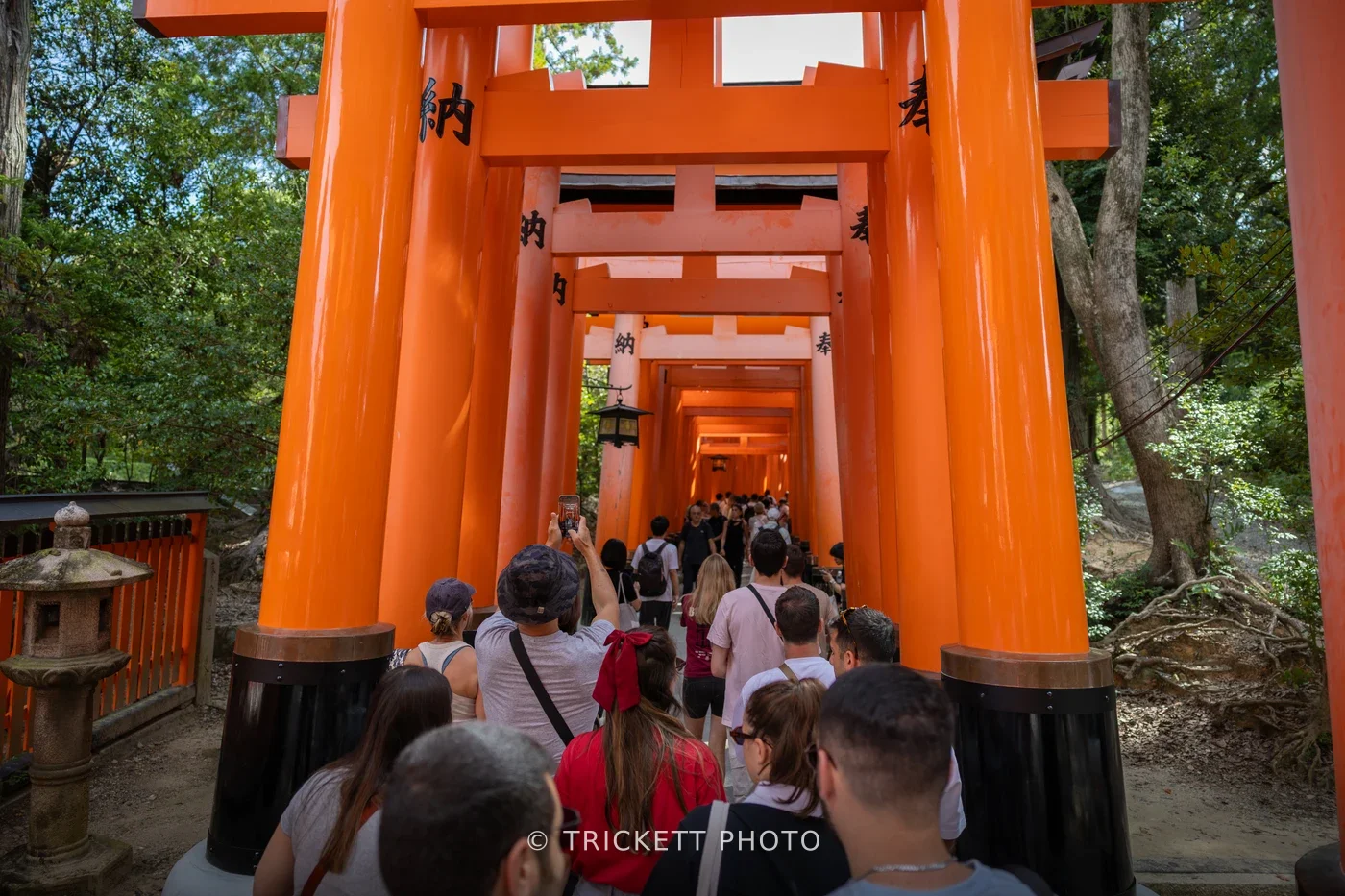 Japan2025-185