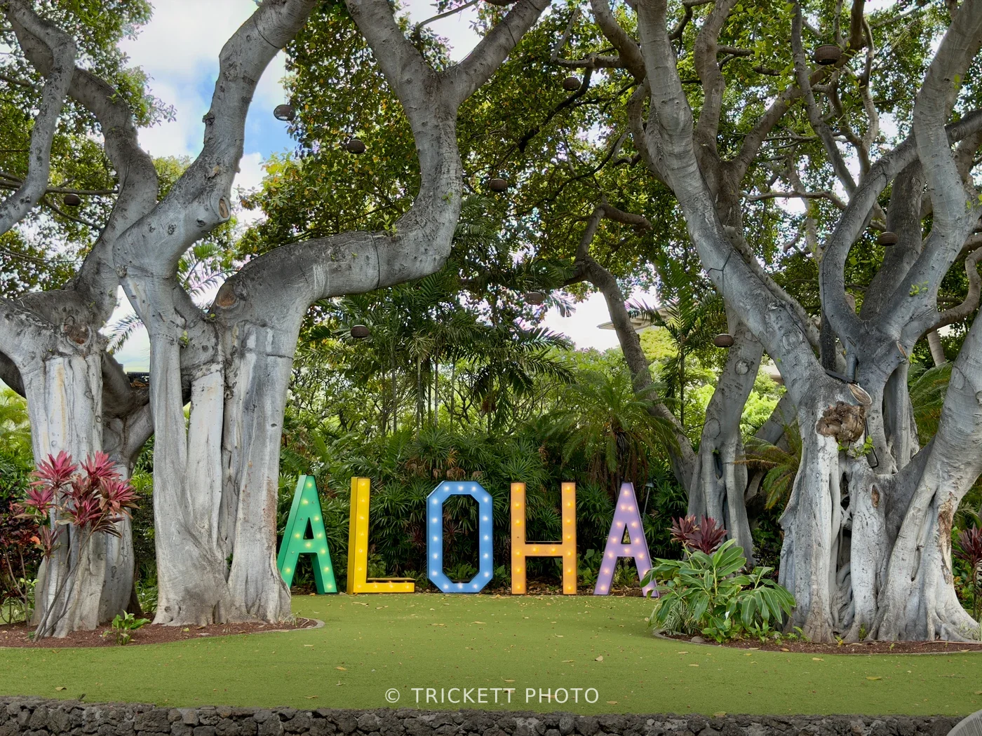 Maui - 228