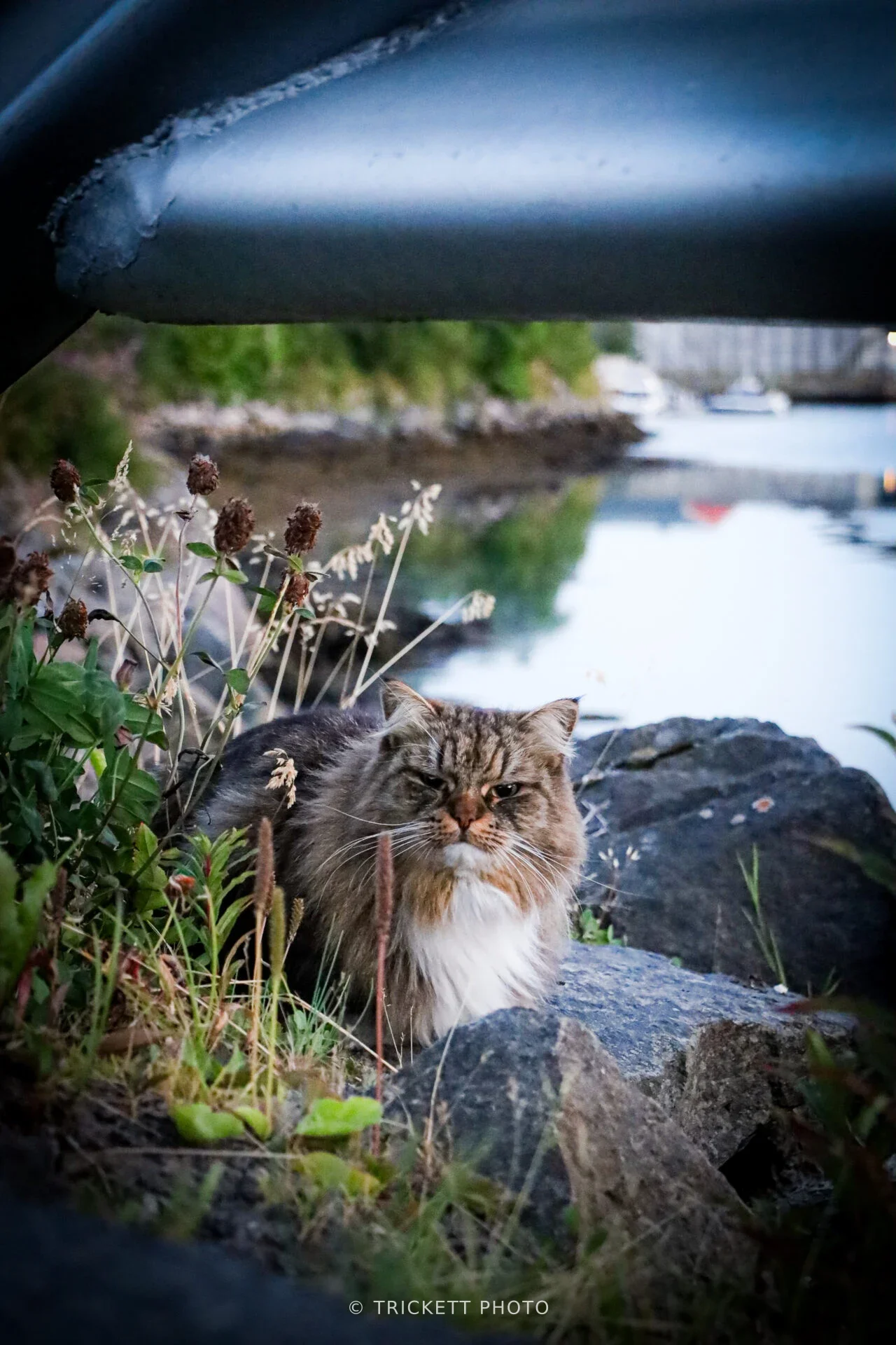 Norway-Lofoten-D3-4-22