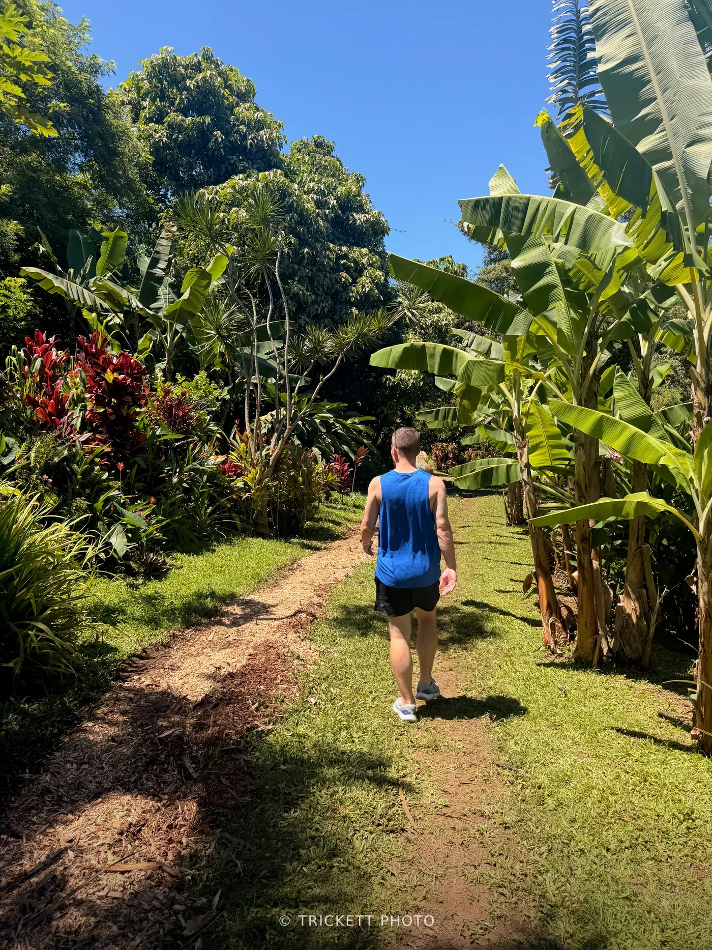 Maui - 72