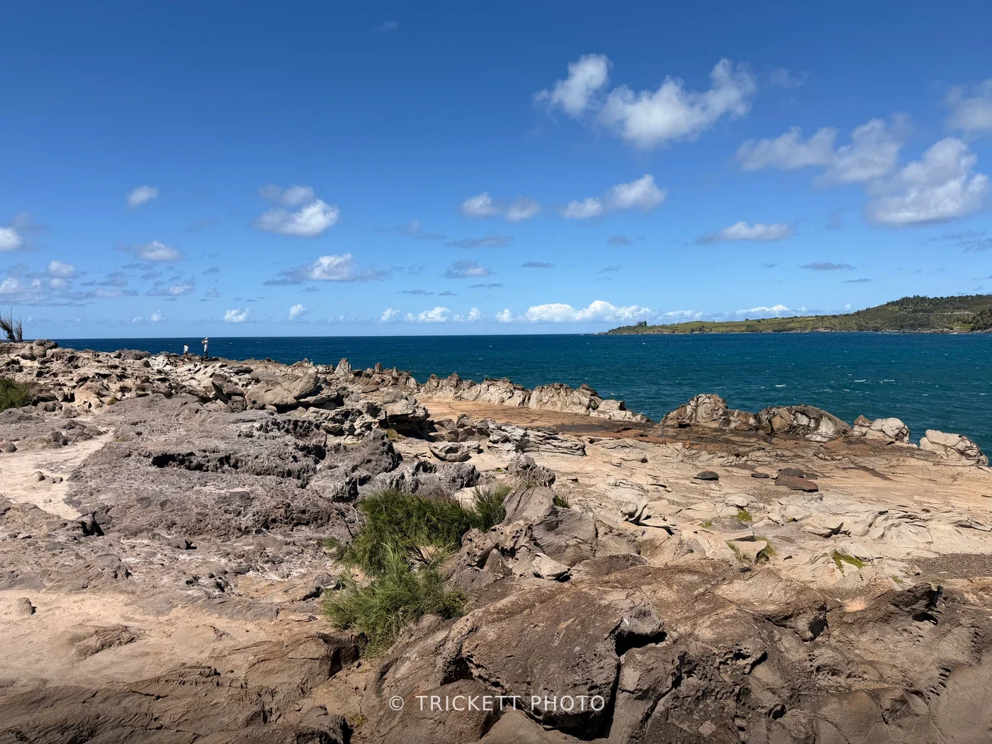 Maui - 15