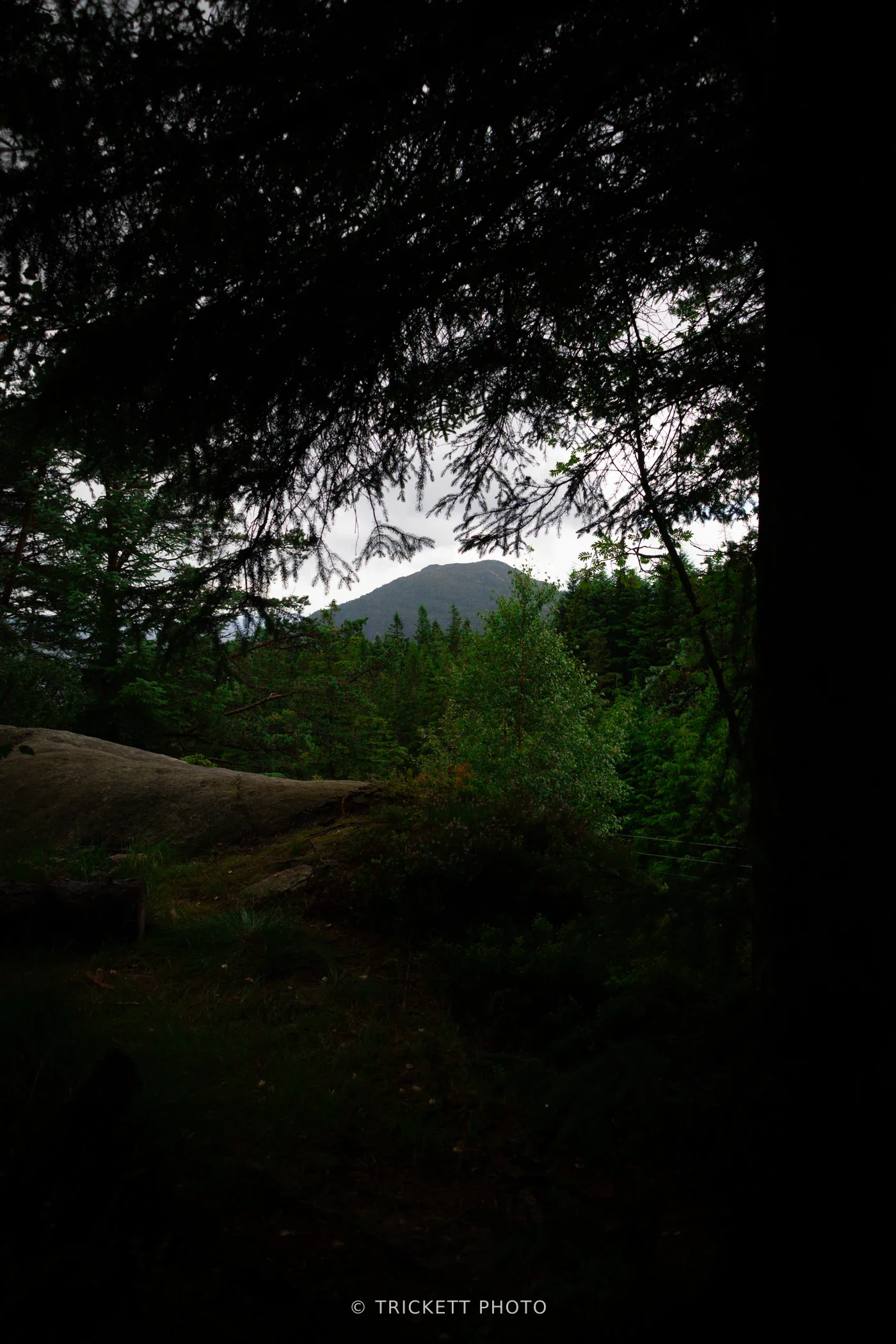 Mt. Fløyen & Mt. Blåmanen Loop Hike