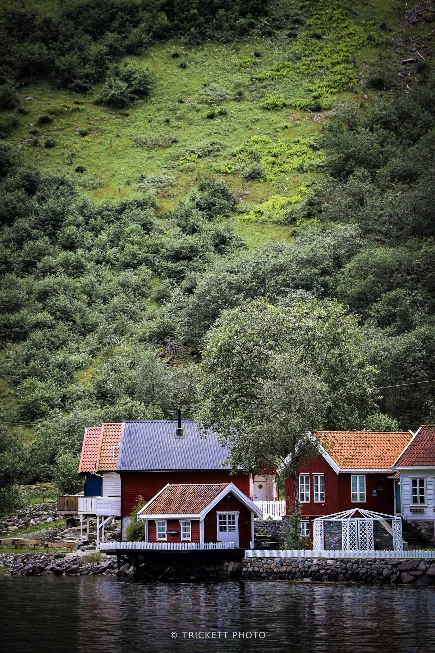 Norway-Bergen-D3-50