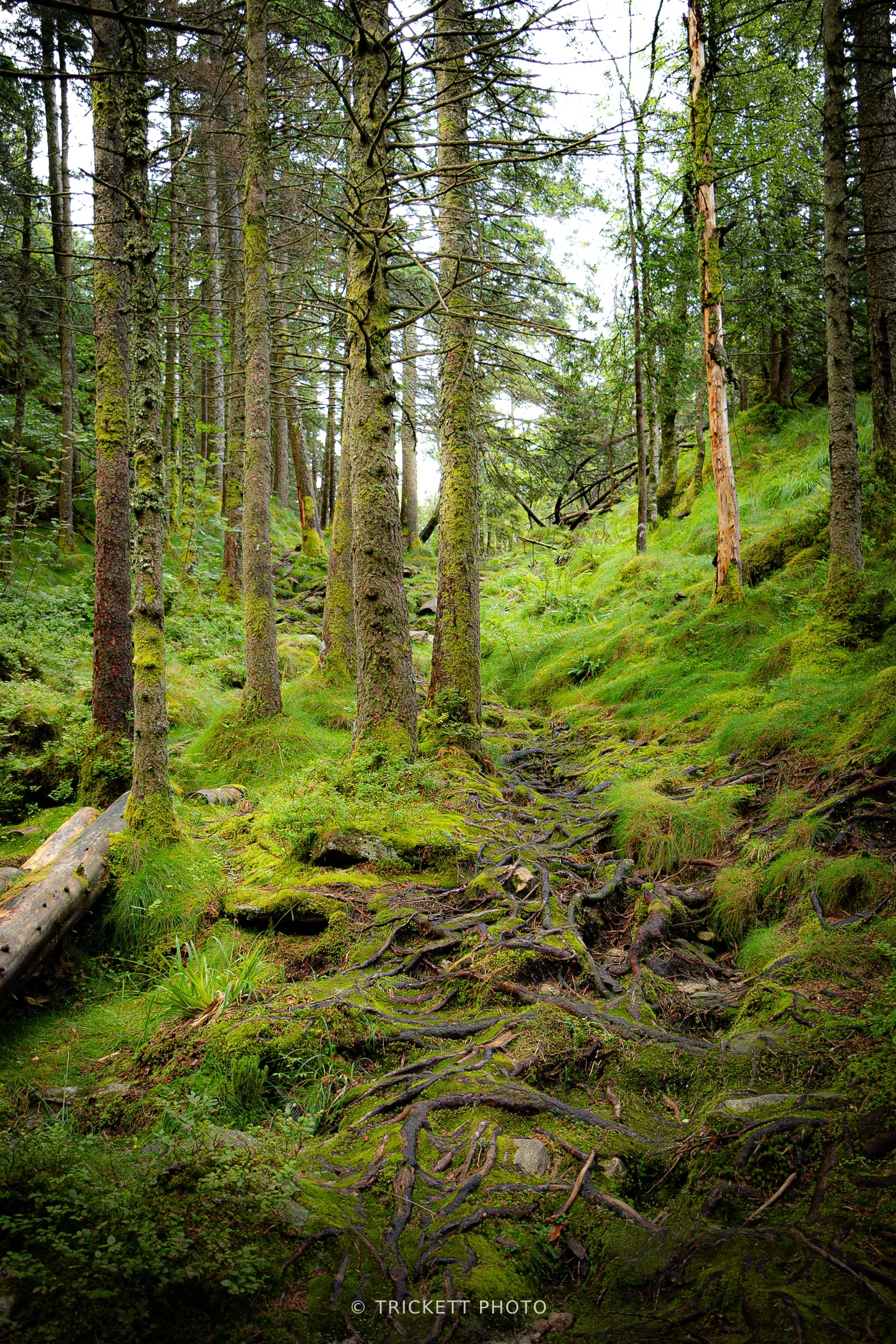 Norway-Bergen-D2-26