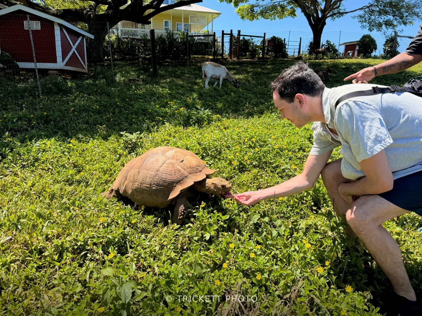 Maui - 107