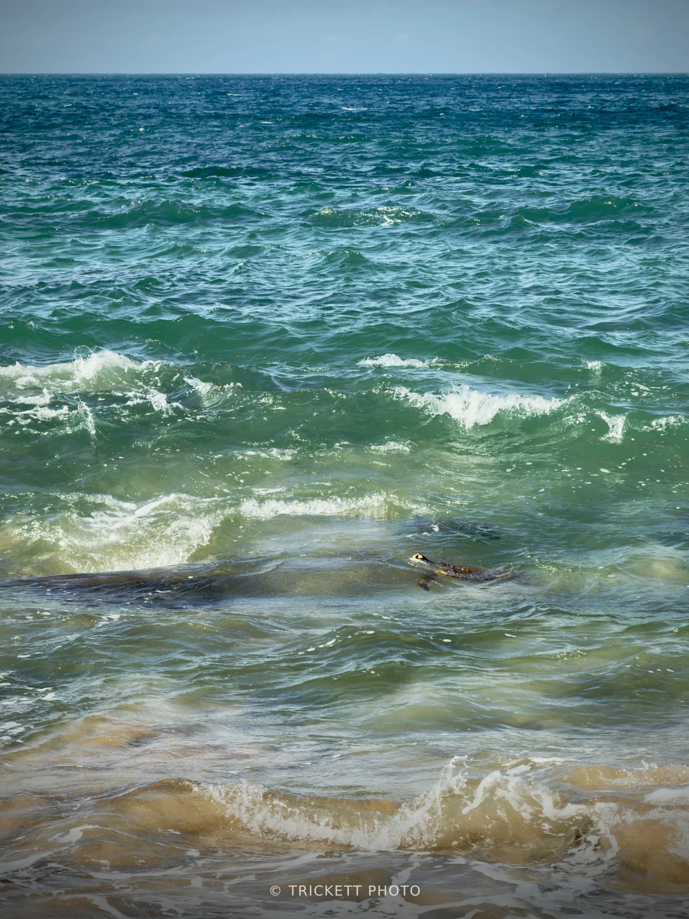 Maui-DR3 - 41