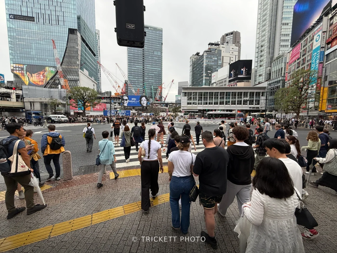 Shibuya Scramble