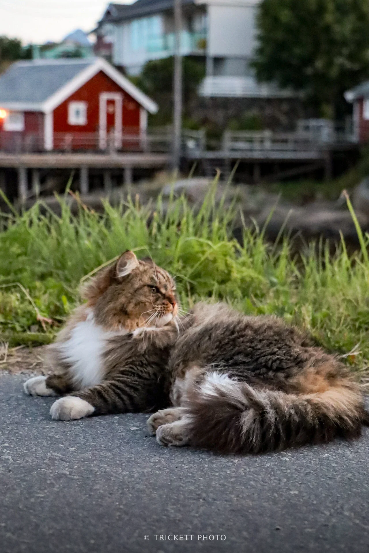 Norway-Lofoten-D3-4-25