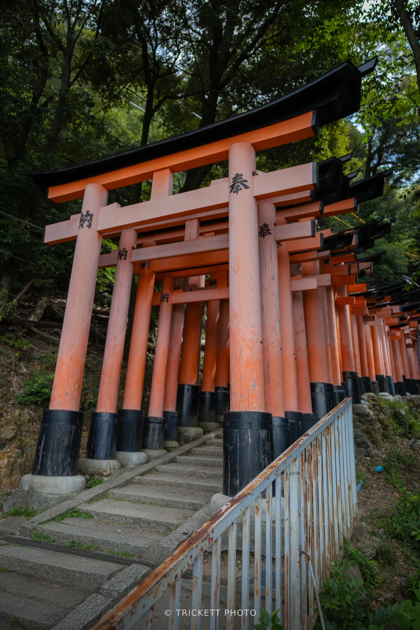 Japan2025-199